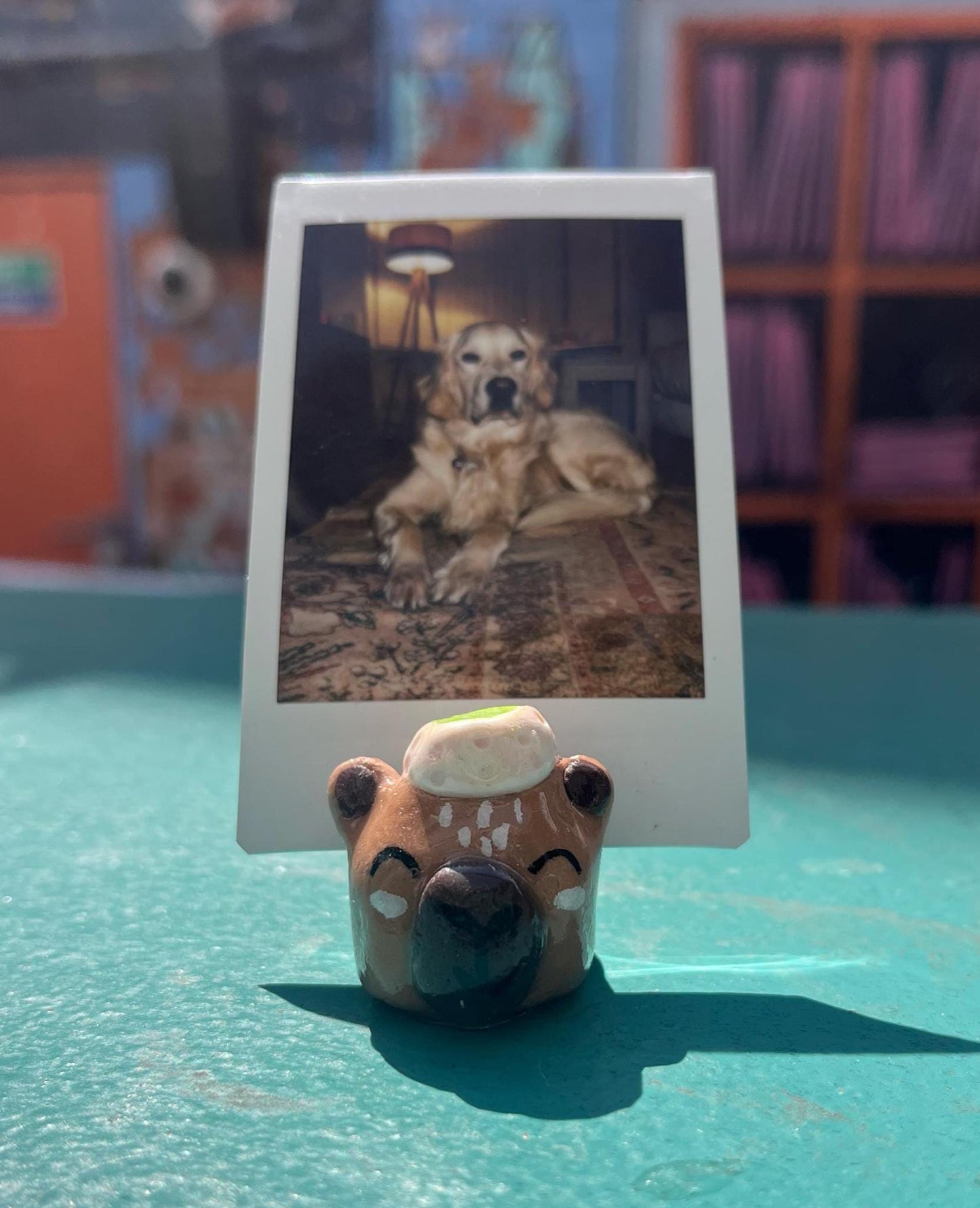 Cute Photo Holders