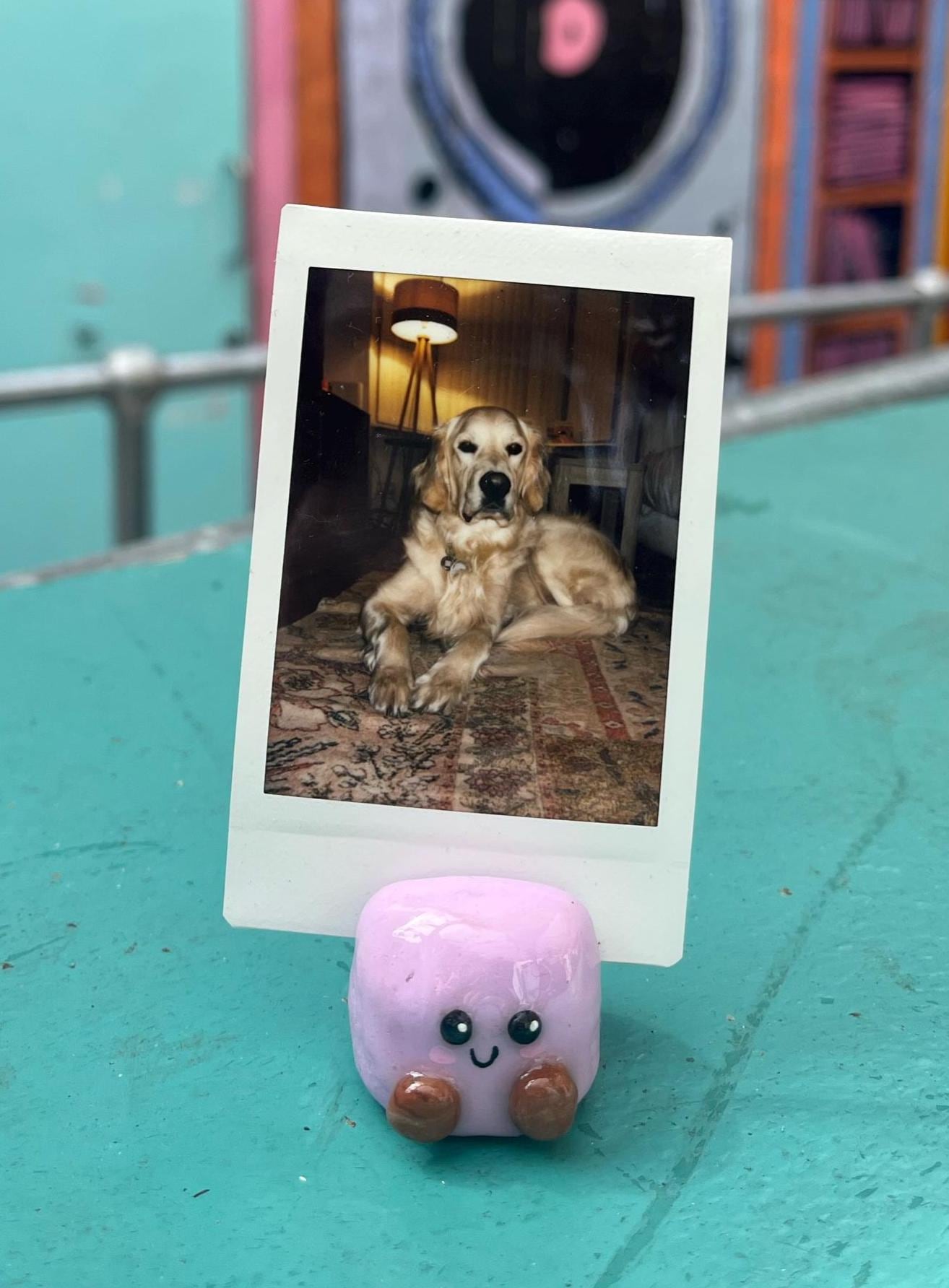 Cute Photo Holders