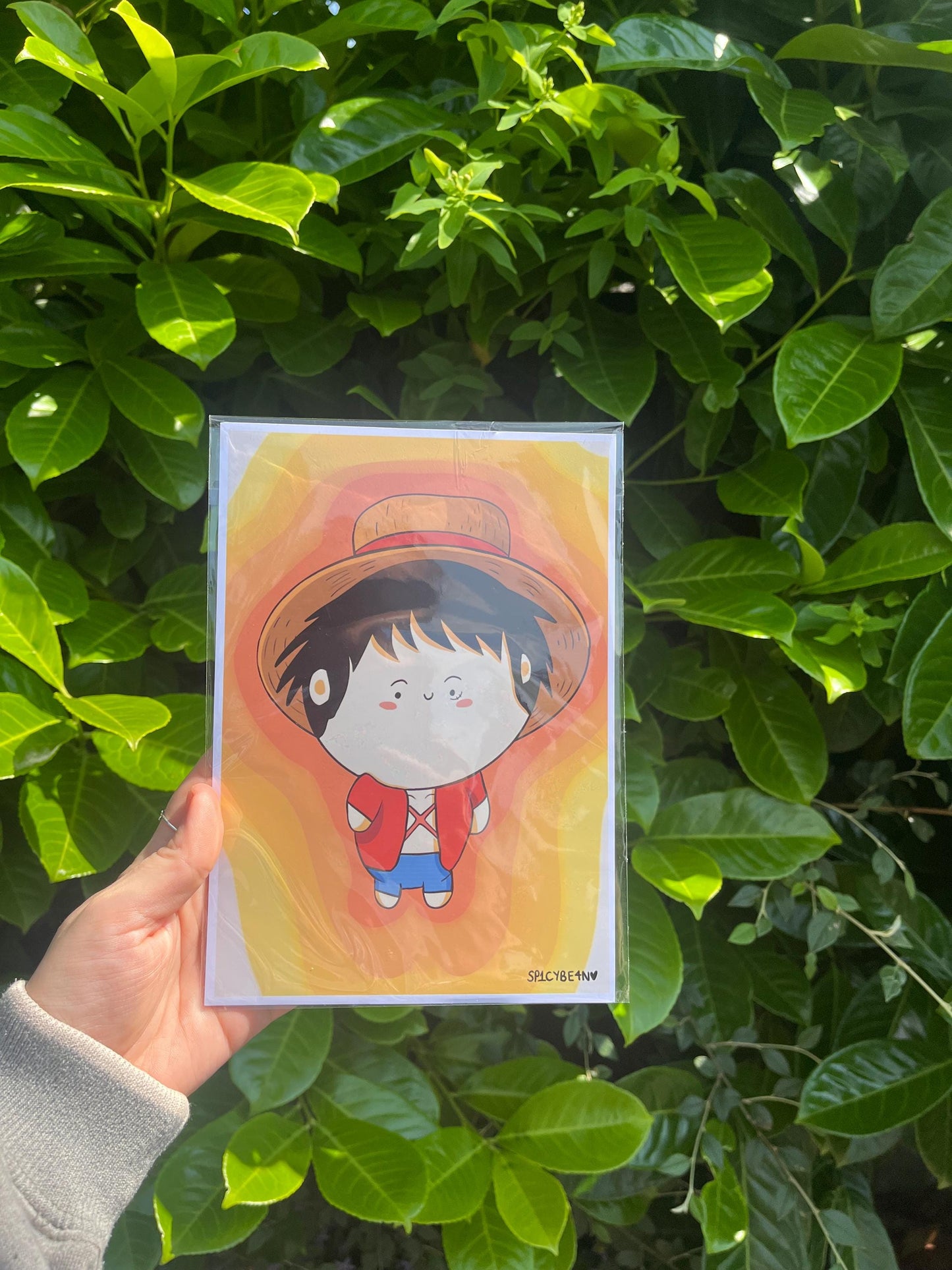 Pirate Anime Art Print - anime character art print, fan art anime print, chibi anime print