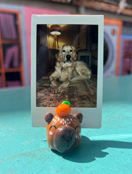 Cute Capybara Photo Holders